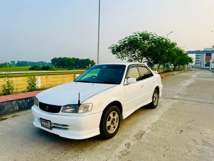 Body Kit Collection - Image 6