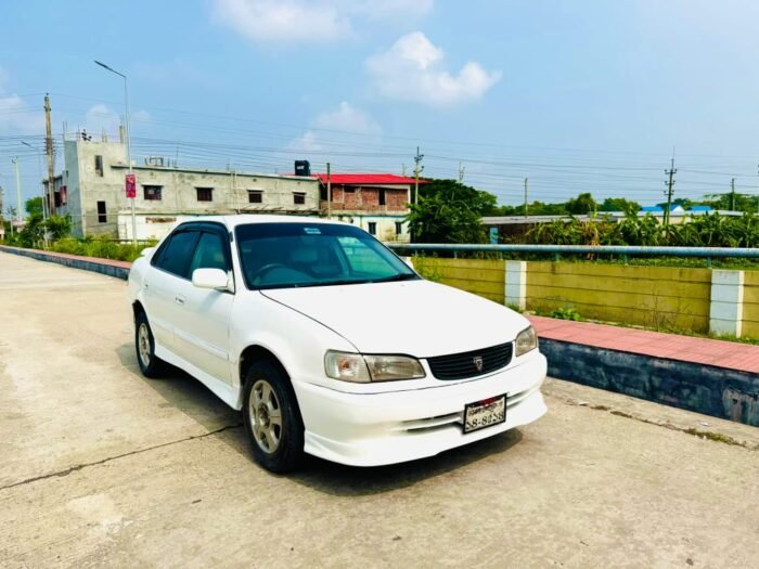 Body Kit Collection - Image 5
