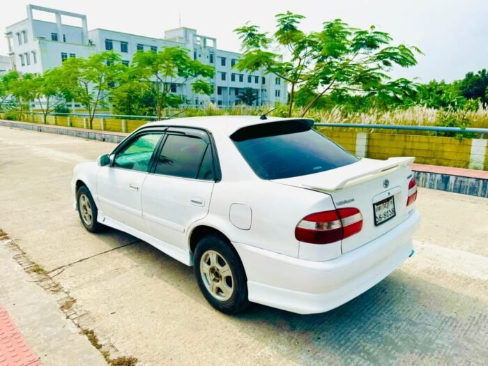 Body Kit Collection - Image 2
