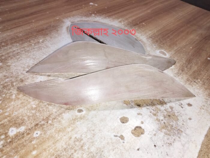 জাপানের বিকল্প বডিকিট - Image 4